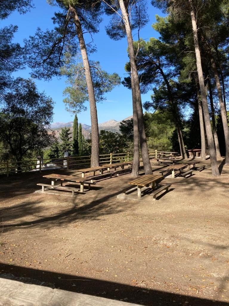 Apartamento La Fuente Alcaucín Dış mekan fotoğraf
