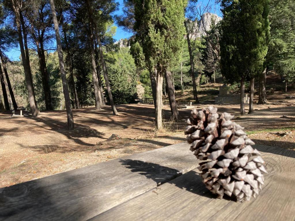 Apartamento La Fuente Alcaucín Dış mekan fotoğraf