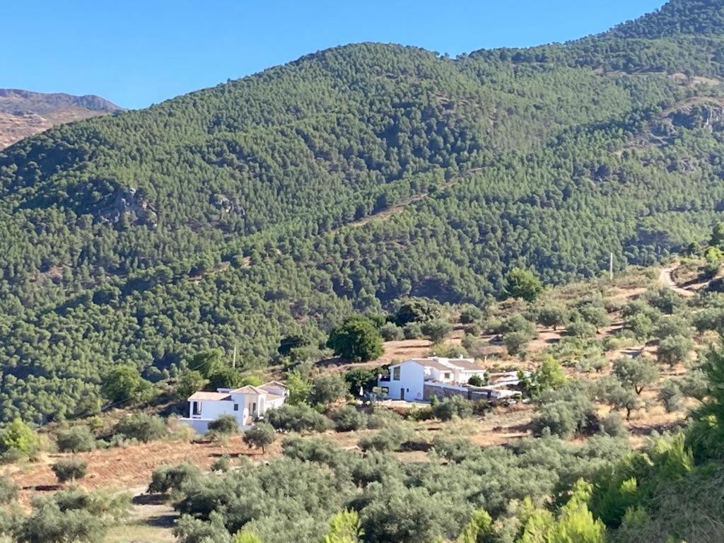 Apartamento La Fuente Alcaucín Dış mekan fotoğraf