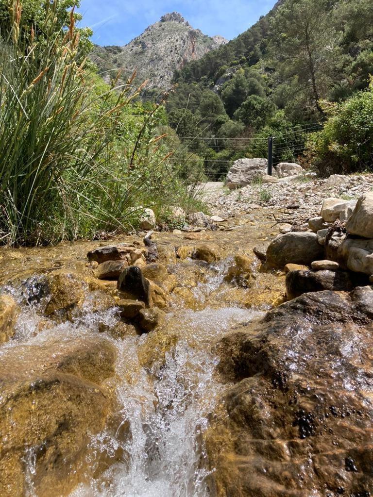 Apartamento La Fuente Alcaucín Dış mekan fotoğraf